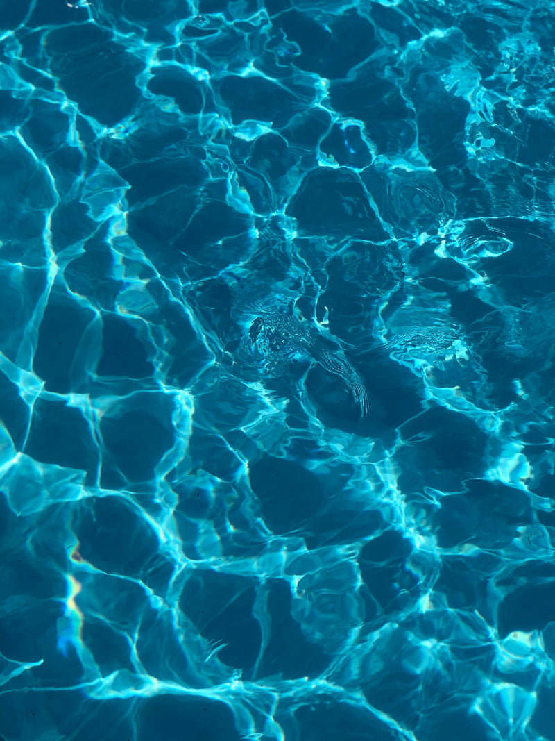 Signs your pool needs an acid wash.